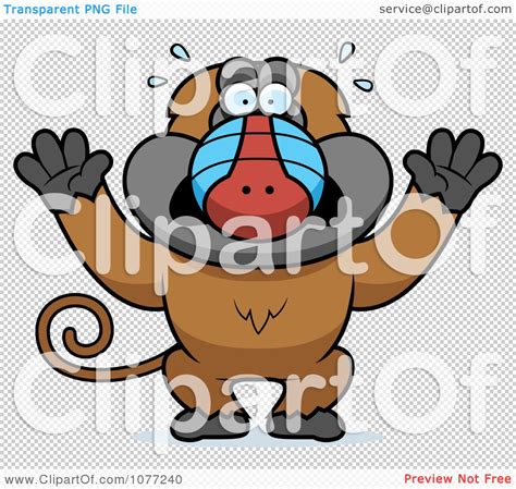 Clipart Scared Baboon Monkey Royalty Free Vector Illustration By Cory