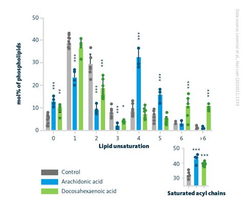 Dietary Fatty Acids Influence The Cell Membrane Lipotype Gmbh