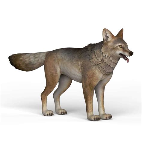 Wolf 3d Model By Treeworld3d