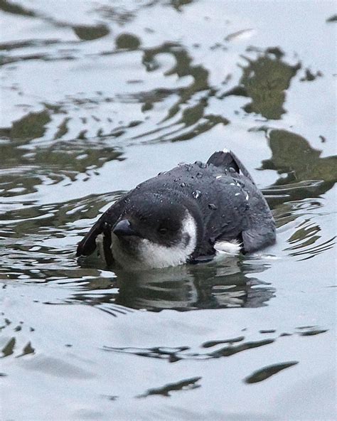 BirdsEye Photography: Review Photos