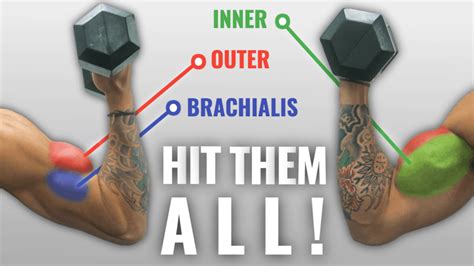 The Ultimate Dumbbell Bicep Workout You Need For Massive Arms