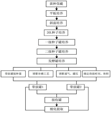 一种工业发酵生产辅酶Q10的方法与流程