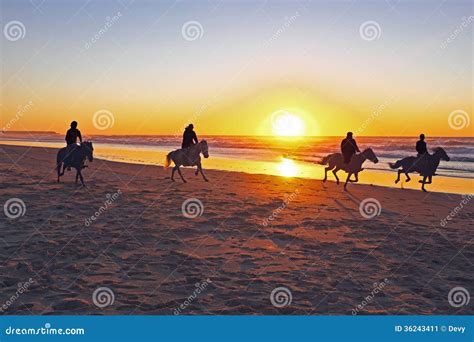 Horse riding on the beach stock image. Image of desert - 36243411