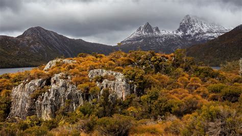 Park Narodowy Cradle Mountain Lake St Clair W Tasmanii