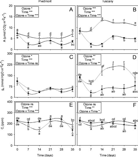 Profiles Of CO2 Assimilation Rate A A B Stomatal Conductance To