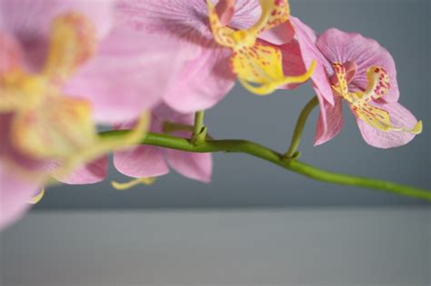 Orchid Orchid Flower Bouquet Orchid Artificial Flower - Etsy