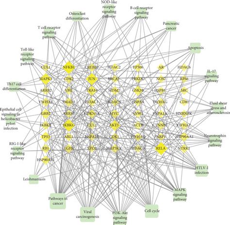 Gene Pathway Network Of Unsaponifiable Matter Against Pancreatic Ductal