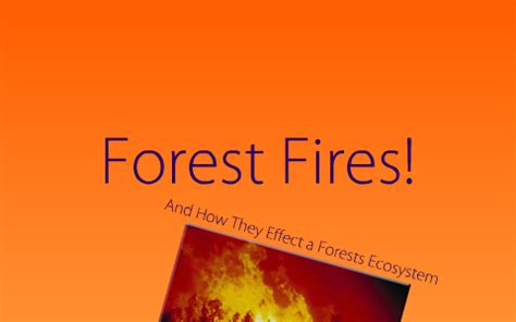 The Effects Of Forest Fires On A Forest S Ecosystem By Matt Carter On Prezi