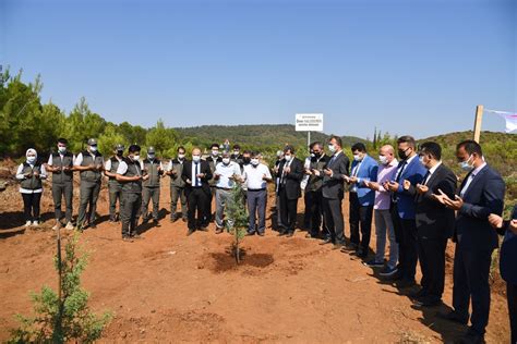 Muğlada 15 Temmuz Demokrasi Şehitleri anısına fidan dikildi Muğla