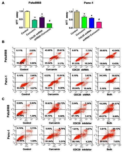 Nutrients Free Full Text Inhibition Of Cell Survival By Curcumin Is