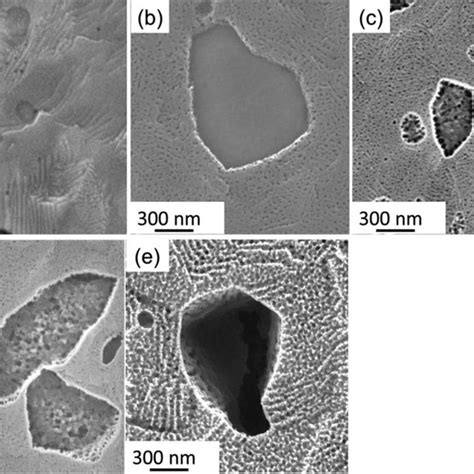 Scanning Electron Micrographs Of Surfaces Of The Anodic Films Formed By Download Scientific