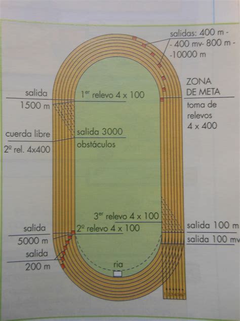 Medidas De Pista Atletica Braincp