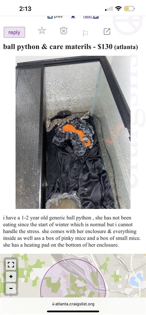 Craigslist ad - Ball Pythons - MorphMarket Reptile Community
