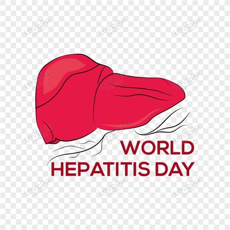 World Hepatitis Day Illustration Inflammation Hepatitis C Hepatitis