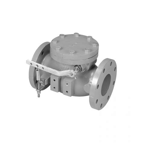 Mueller® 2 12 Swing Type Lever And Spring Check Valves Flxfl Us Pipe Valve And Hydrant Llc