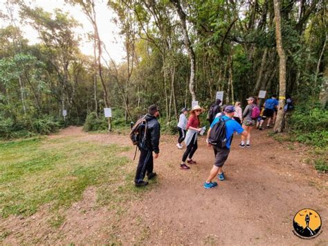 Morro Do Cal Trilha Em Campo Largo No Paran Viajando De Mochila