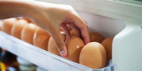 Le Uova Vanno Tenute In Frigo O Fuori Rdd