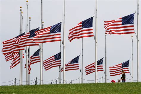 rows-of-american-flags-on-memorial-day - Memorial Day Pictures - Memorial Day - HISTORY.com