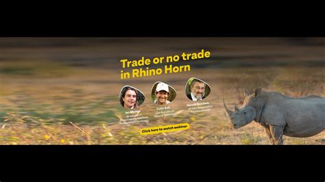 Trade Or No Trade In Rhino Horn Youtube