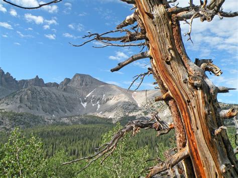 High Mountains stock photo. Image of high, horizontal - 12549254