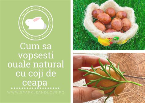 Cum Sa Vopsesti Ouale Natural Cu Coji De Ceapa Sparkle And Love