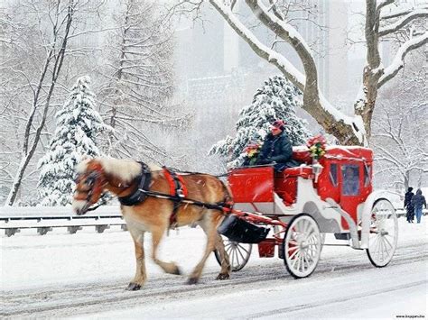 Winter Carriage Ride Pictures, Photos, and Images for Facebook, Tumblr ...