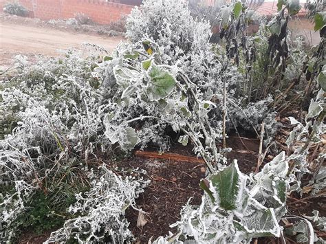 Inundaciones Y Heladas Afectan A 24 500 Hectáreas De Cultivos En Cuatro