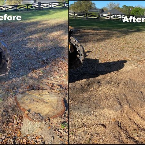 Stump Grinding Cheap Tree Service