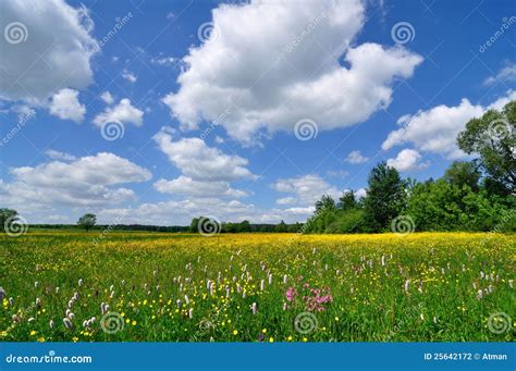 Spring Landscape Stock Photography - Image: 25642172