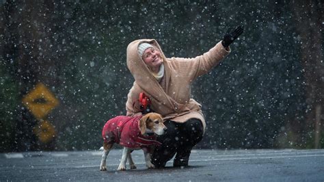 Melbourne Weather Snow Falls In Cbd As Icy Blast Crosses Victoria