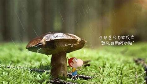 A true soul mate is probably the most important person you'll ever meet,