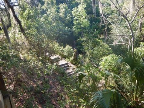 Ravine Gardens State Park, North FL Biking. E-Z Map, Photos.