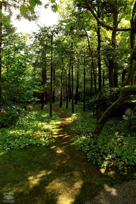 Tour One Of The Top Japanese Gardens In North America Garden Therapy