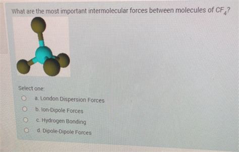 Solved What Are The Most Important Intermolecular Forces