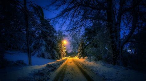 Fondos De Pantalla Luz De Sol Rboles Paisaje Luces Bosque Calle