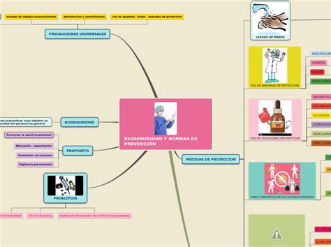 Bioseguridad Y Normas De Prevenci N Mind Map