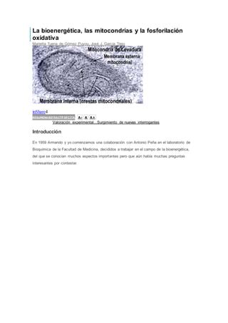 Bioenergetica Mitocondria Fosforilacion Pdf