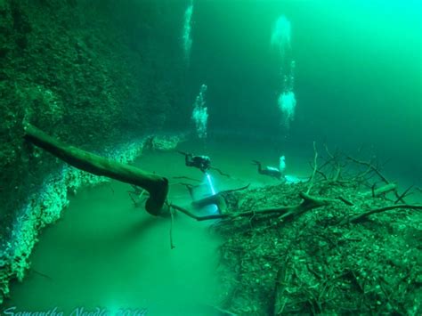 Cenote Angelita El Bosque Sumergido Entre R Os M Xico Desconocido