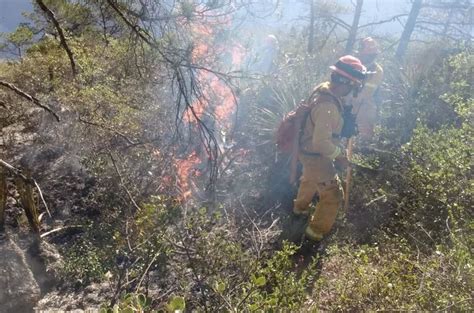 Combaten 5 Incendios En Nuevo León Telediario México