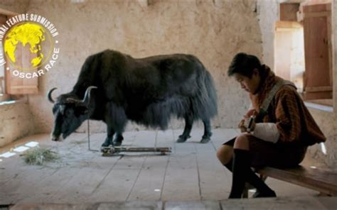 Lunana: A Yak in the Classroom makes history as the first Bhutanese ...