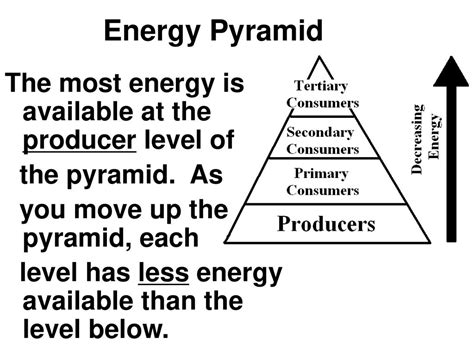 Ecosystem Notes Ppt Download