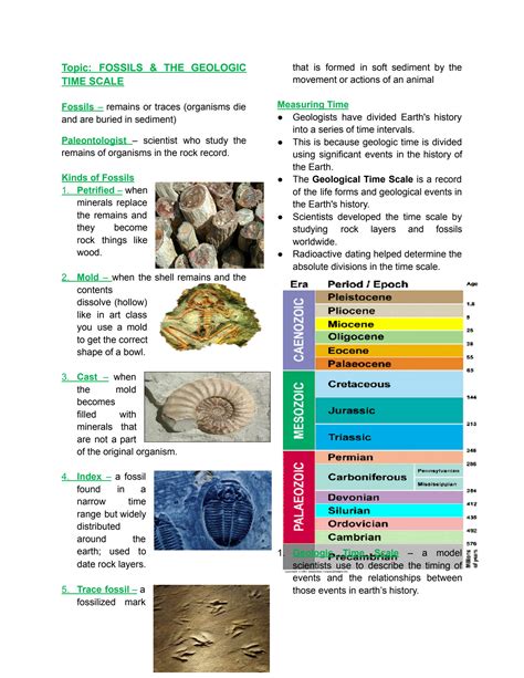 Fossils Facts And Finds Geologic Timeline at Tammy Pough blog