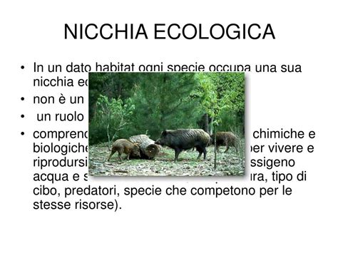 Ppt Ecologia Dal Greco Oikos Casa E Logos Discorso Trattazione