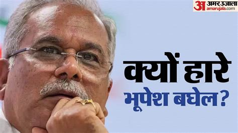 Rajnandgaon Lok Sabha Election Results Why Did Bhupesh Baghel