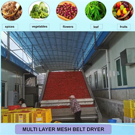 Factory Outlet Tunnel Conveyor Mesh Belt Dryer Dehydration Machine For