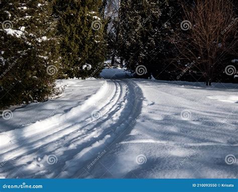 A Cross Country Ski Track Forms Curved Trail That Disappears Into The