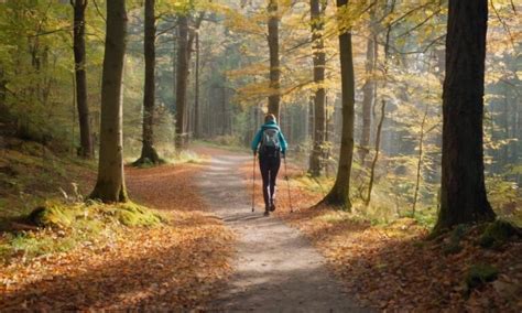 Jak Si Chodzi Z Kijkami Nordic Walking Si Ownia Team