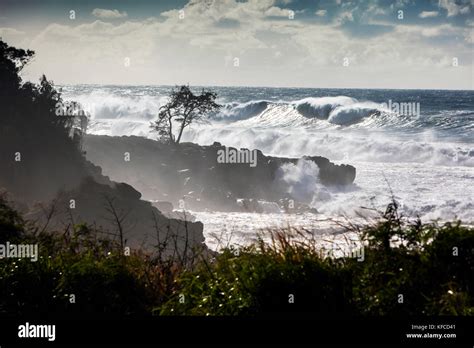 Hawaii Oahu North Shore Big Swell Waves Rolling In On The North