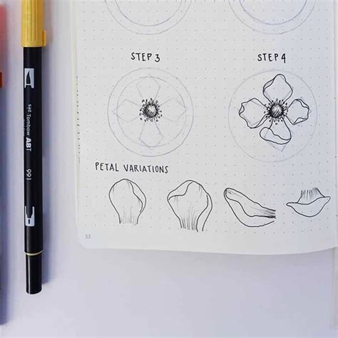 Flower Drawing Tutorial: How to Draw an Anemone Flower