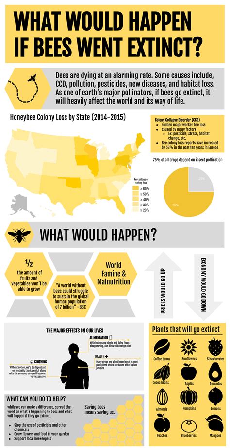 Key Things To Cosider If Bees Went Extinct Daily Infographic